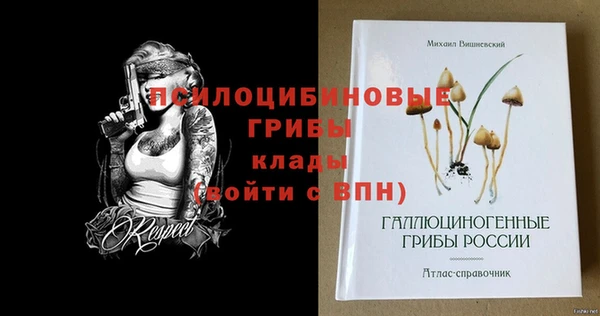 эйфоретик Абинск