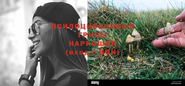 эйфоретик Абинск