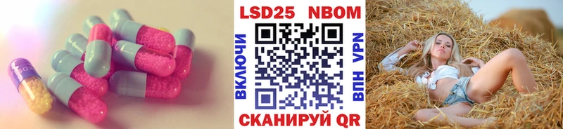 наркошоп  Приволжск  площадка как зайти  ЛСД экстази ecstasy  omg зеркало 