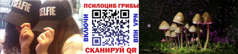 Псилоцибиновые грибы Cubensis  купить наркоту  Приволжск 